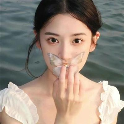 盗影谜情
